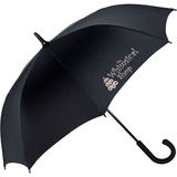 Carbon fibre umbrella